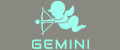 Аналитика бренда Gemini на Wildberries