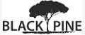 Black Pine