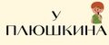 У Плюшкина