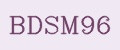 BDSM96