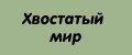Хвостатый мир
