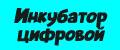 Инкубатор цифровой