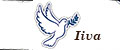 Iiva