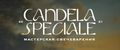 Аналитика бренда CANDELA SPECIALE на Wildberries