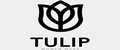 TULIP WOMEN WEAR