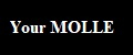 Your molle