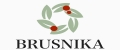 BRUSNIKA ACCESSORIES