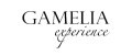 Gamelia experience