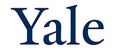 Аналитика бренда Yale на Wildberries
