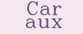 Car aux