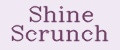 Shine Scrunch