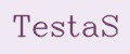 TestaS
