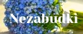 Nezabudki