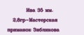 Ива 35 мм. 2,8гр-Мастерская приманок Зябликова