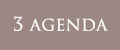 3 AGENDA