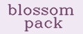 Аналитика бренда blossom pack на Wildberries