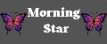 Аналитика бренда MORNING STAR на Wildberries