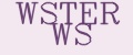 Аналитика бренда WSTER WS на Wildberries