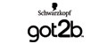 Got2b