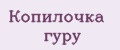 Копилочка гуру