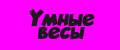 Умные весы