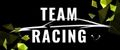 TEAM RACING