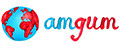 Аналитика бренда amgum на Wildberries