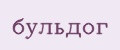 бульдог