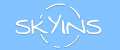 Skyins