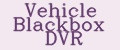 Vehicle Blackbox DVR