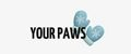 YourPaws
