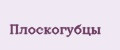 Плоскогубцы