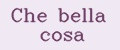 Che bella cosa