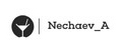 Nechaev_A