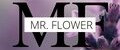Mr. Flower