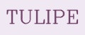 TULIPE