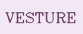 VESTURE