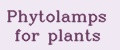 Phytolamps for plants