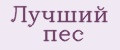 Лучший пес