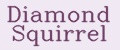 Diamond Squirrel