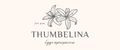 ThumbelinaA