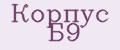 Корпус Б9