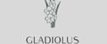 Gladiolus