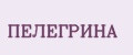 ПЕЛЕГРИНА