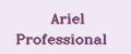 Аналитика бренда Ariel Professional на Wildberries