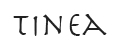 TINEA