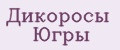 Дикоросы Югры