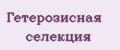 Гетерозисная селекция