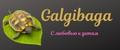 Galgibaga