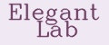 Elegant Lab